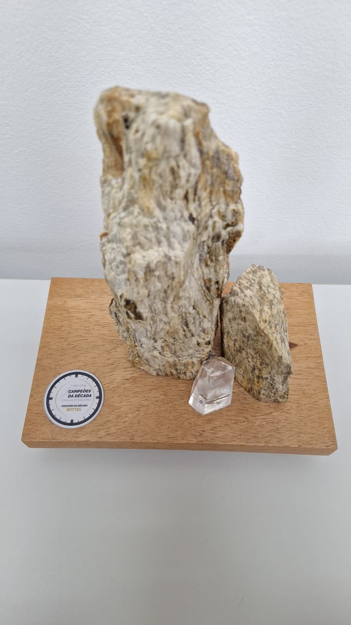 Campeoes da Decada – Parceiro de Mercado Wittel